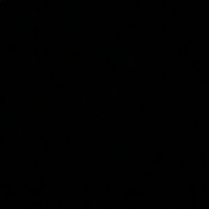 Meet your Posher, Colt